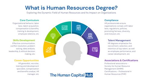 What Degree Do You Need For Human Resources Manager?